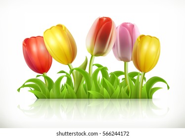 Tulips Flowers And Spring Grass. 3d Vector Icon