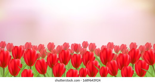 Las flores tulipanos fondo cielo de primavera