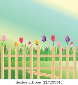 Tulips in the garden behind the fence. Spring, flowers, meadow. Vector on a bright background