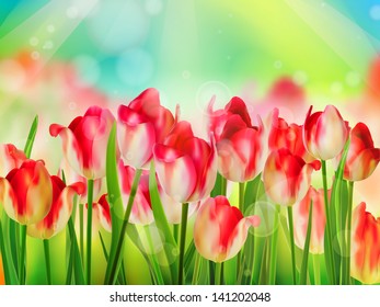 Tulips garden with grass on blue sky background. And also includes EPS 10 vector