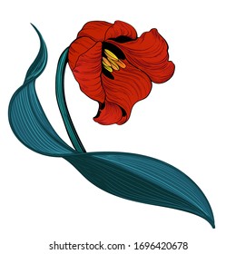 Tulips - graphics. Spring flowers. Vector drawing.