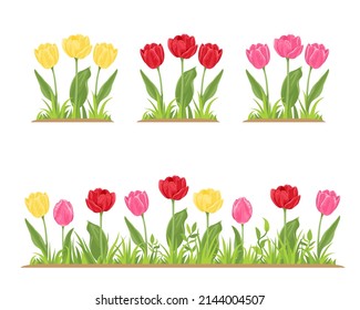 Tulips in green grass. Flower bed with red, yellow and pink spring flowers. Vector illustration in cartoon flat style.