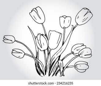 Tulips Hand Drake