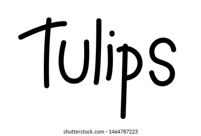 Tulips. Handwritten Word Lettering Vector Image Isolated on white background.