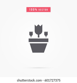 Tulips icon with pot