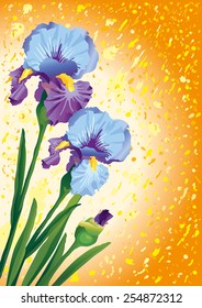 Tulips, international women's day, spring.