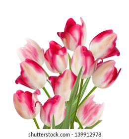 Tulips isolated on white background. And also includes EPS 8 vector