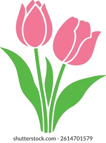 Tulips isolated on a white background.