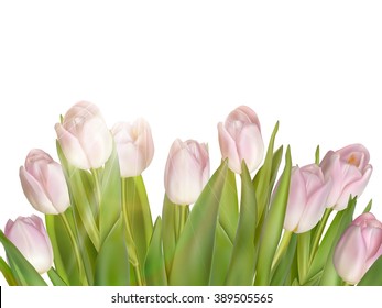 Tulips isolated on white. EPS 10 vector file included