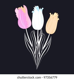  Tulips with leaves on black background