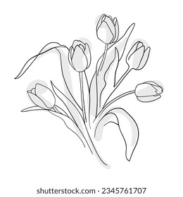 Tulips line art drawing on white background. Spring flowers bouquet. Outline floral vector illustration. 