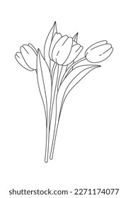 Tulips line art Spring flowers Contemporary floral design. Vector illustration