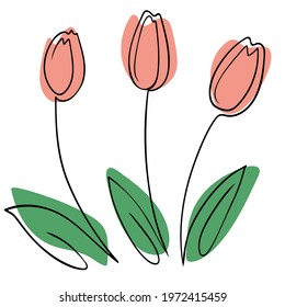 Tulips in line art style. Vector. Flowers are simple black lines with colored spots. Modern laconic stylized flowers.