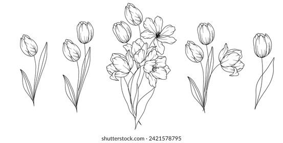 Dibujo de línea de tulipanes. Bouquets florales en blanco y negro. Página Coloración de Flores. Ilustración de Tulipanes de línea floral. Flores dibujadas a mano. Colores botánicos. Flores de invitación a la boda