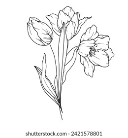 Tulips Line Drawing. Black and white Floral Bouquets. Flower Coloring Page. Floral Line Art. Fine Line Tulips illustration. Hand Drawn flowers. Botanical Coloring. Wedding invitation flowers
