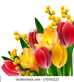 Tulips and mimosas design template