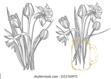 Tulips and Narcissus flowers bouquet isolated on white background. Set of drawing cornflowers, floral elements, hand drawn botanical illustration