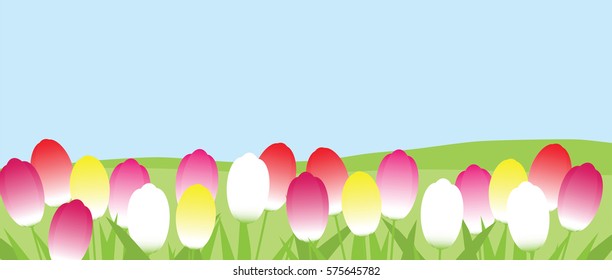 tulips on a background grass landscape banner horizontal vector image