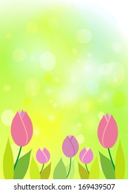 Tulips on green bokeh. Spring background.