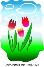 Tulips on a lawn