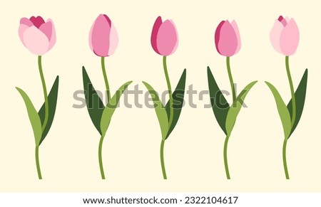 Tulips on white background.Eps 10 vector.