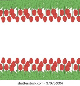 Tulips on a white background