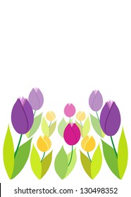 Tulips on a white background. Vector EPS10.