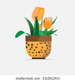 Tulips, orange or pots.