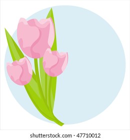 tulips over blue background