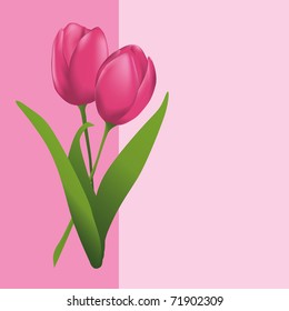 Tulips  pink card