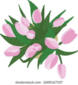 Tulips pink hand drawn up view. Spring bouquet