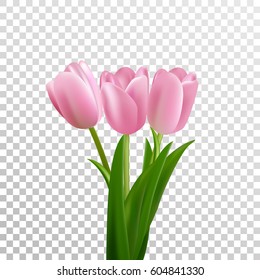 Tulips. Pink vector tulips bouquet isolated. Flowers in different shapes