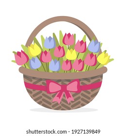 Tulips pink, yelow, blue in a basket with a pink bow.