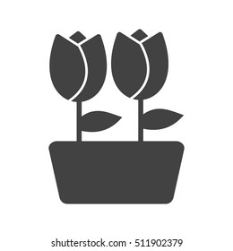 Tulips in Pot