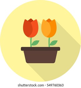Tulips in Pot
