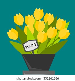 Tulips in a pot with the mark tulips