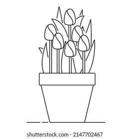 Tulips in a pot. The tulip is a contour line.  Line vector garden flowers for gardening design production