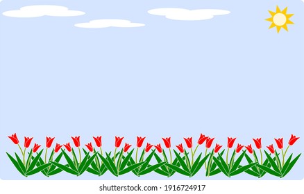 A lot of tulips red