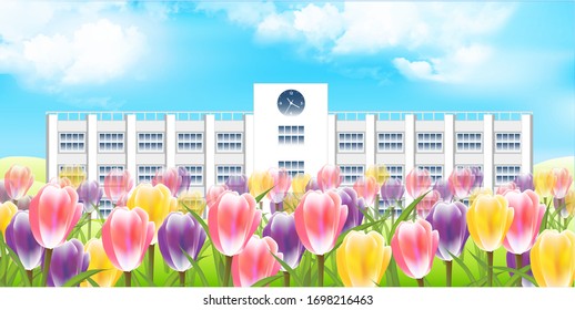 Tulpen-Schule Blumen Himmelshintergrund