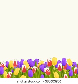 Tulips. Seamless horizontal pattern of different colored flowers. Vector.