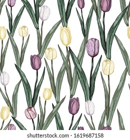 Tulips seamless pattern on white background. Hand drawn outline converted into a vector image. Colorful flowers in vintage style. For wrapping paper, packaging, textile, greeting cards, banners.