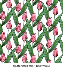 tulips seamless pattern, vector
