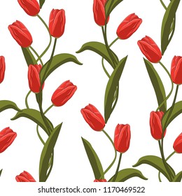 Tulips seamless pattern. Vector illustration. Spring red flowers on white background. 