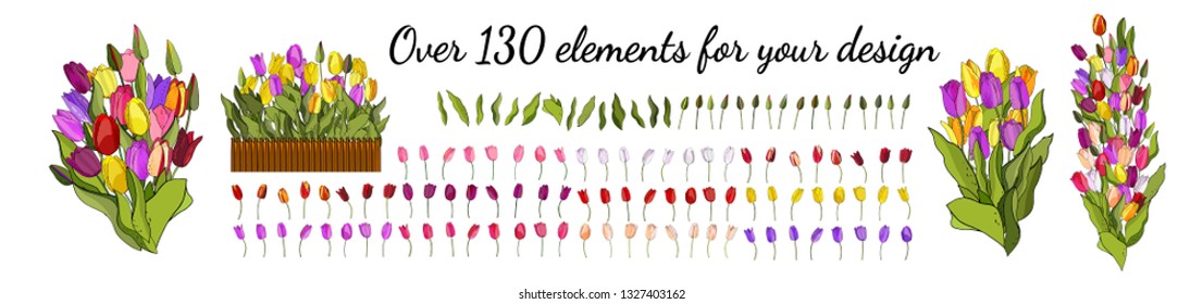 Tulips set. The blank for your design. Colorful flowers isolated on white background. Simple bouquet vector with garden blooming flowers cute floral romantic elements for season spring design