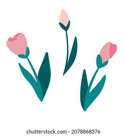 Tulips set of flowers. Spring flowers. Set of decorative floral design elements. Flat cartoon vector illustration.
