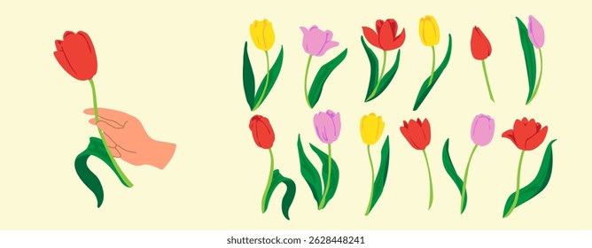 Tulips set. Spring flowers in hand. Tulip in bright color. Colored flowers in vector flat style. Vector simple hand drawn illustration in doodle style. Floral Clip art.