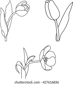 Tulips silhouette