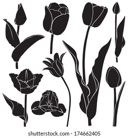 Tulips silhouette set 