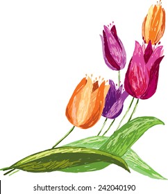 tulips sketch
