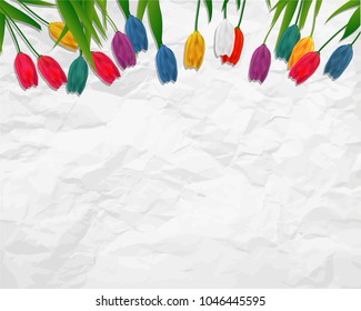 Tulips spring Background